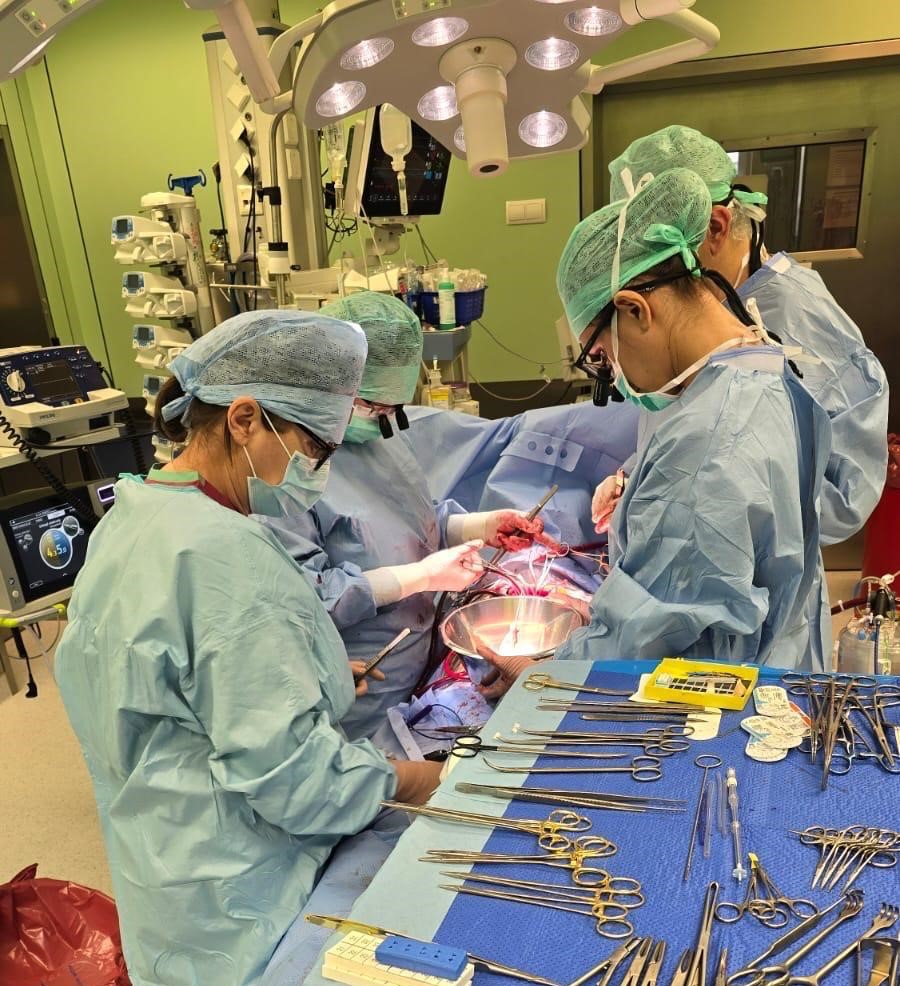 Zespół kardiochirurgów podczas transplantacji serca